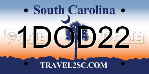 1DOD22 South Carolina License Plate