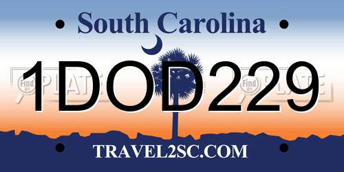 1DOD229 South Carolina License Plate