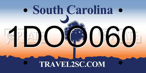 1DOO060 South Carolina License Plate