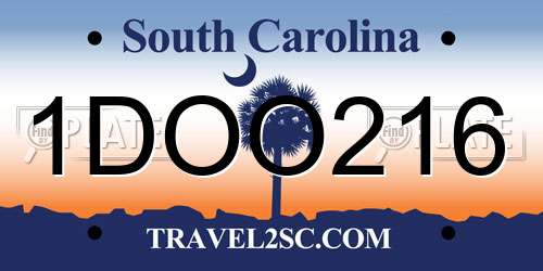 1DOO216 South Carolina License Plate