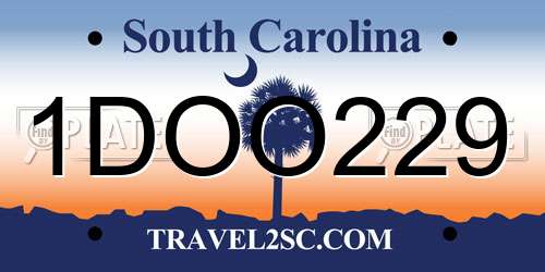1DOO229 South Carolina License Plate