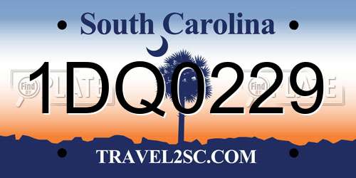 1DQ0229 South Carolina License Plate