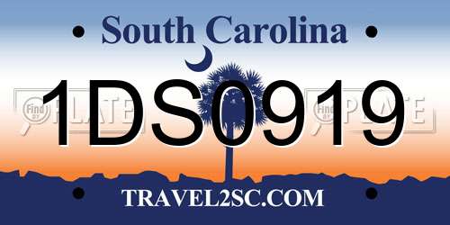 1DS0919 South Carolina License Plate