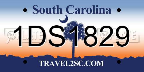 1DS1829 South Carolina License Plate