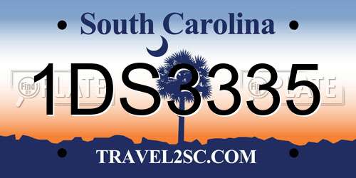 1DS3335 South Carolina License Plate