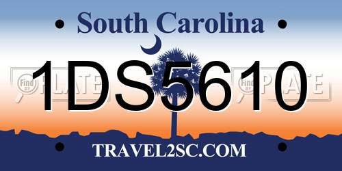 1DS5610 South Carolina License Plate