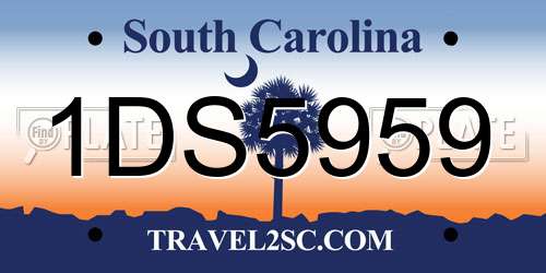 1DS5959 South Carolina License Plate
