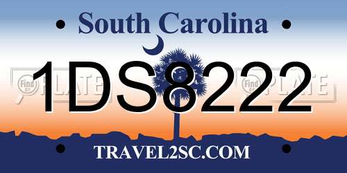 1DS8222 South Carolina License Plate