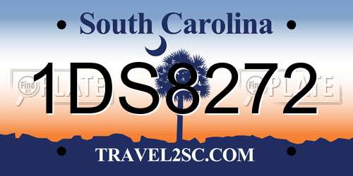 1DS8272 South Carolina License Plate