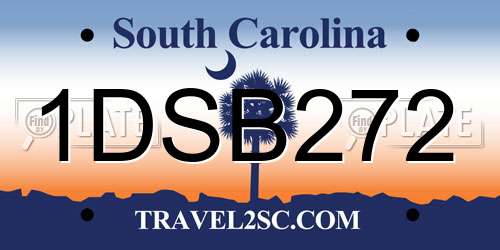 1DSB272 South Carolina License Plate