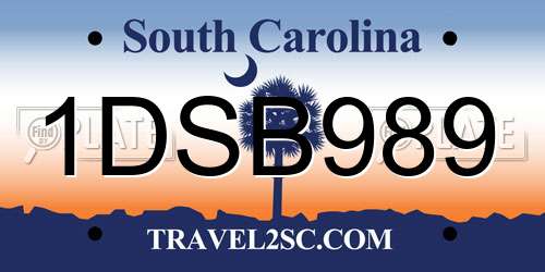 1DSB989 South Carolina License Plate