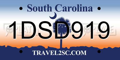 1DSD919 South Carolina License Plate