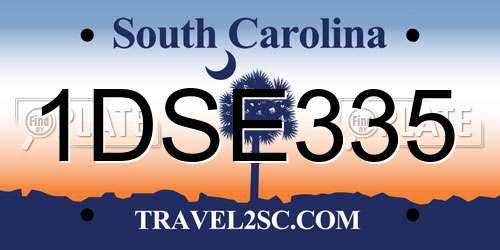 1DSE335 South Carolina License Plate