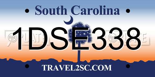 1DSE338 South Carolina License Plate