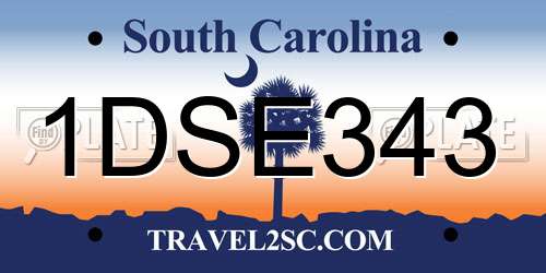 1DSE343 South Carolina License Plate