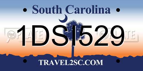 1DSI529 South Carolina License Plate
