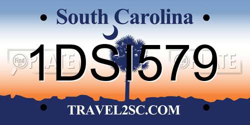 1DSI579 South Carolina License Plate