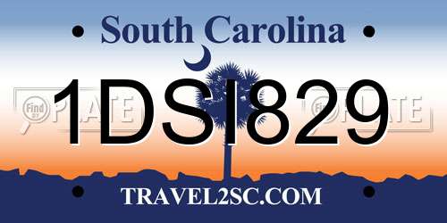 1DSI829 South Carolina License Plate