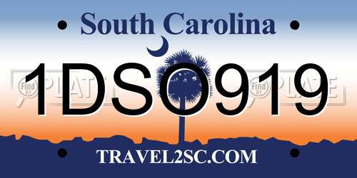 1DSO919 South Carolina License Plate