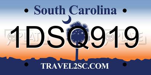 1DSQ919 South Carolina License Plate