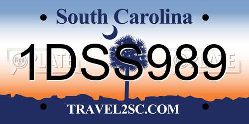 1DSS989 South Carolina License Plate