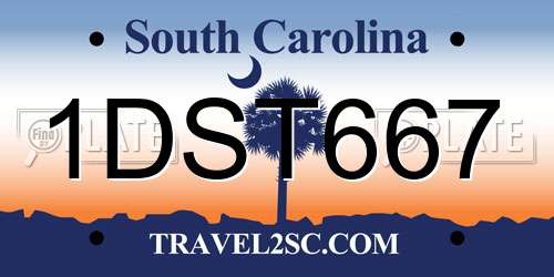 1DST667 South Carolina License Plate