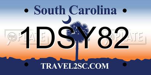 1DSY82 South Carolina License Plate