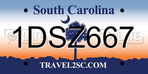 1DSZ667 South Carolina License Plate