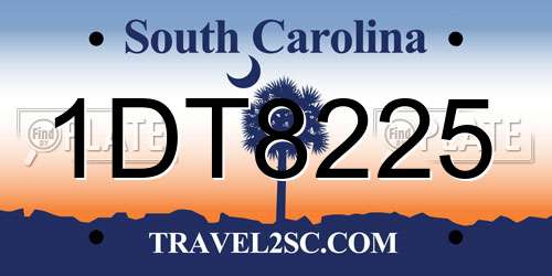 1DT8225 South Carolina License Plate