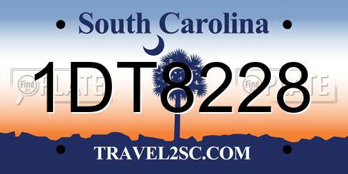 1DT8228 South Carolina License Plate