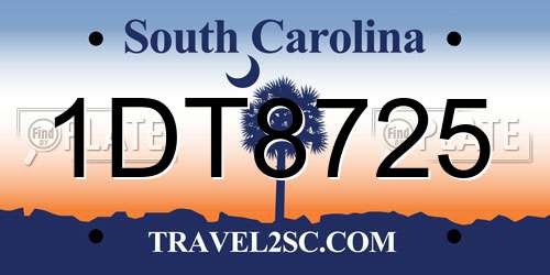 1DT8725 South Carolina License Plate