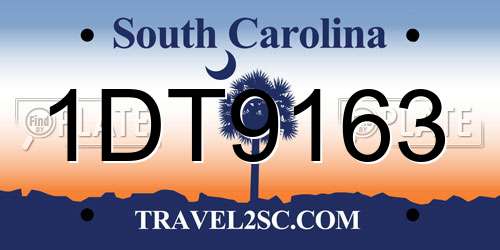 1DT9163 South Carolina License Plate