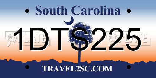 1DTS225 South Carolina License Plate