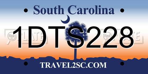 1DTS228 South Carolina License Plate