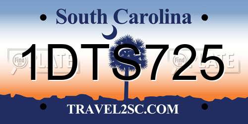 1DTS725 South Carolina License Plate