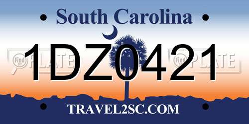 1DZ0421 South Carolina License Plate
