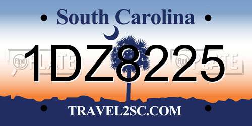 1DZ8225 South Carolina License Plate
