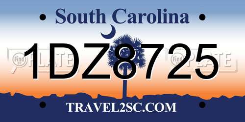 1DZ8725 South Carolina License Plate