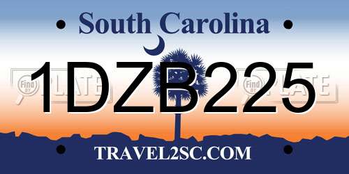 1DZB225 South Carolina License Plate