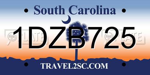 1DZB725 South Carolina License Plate