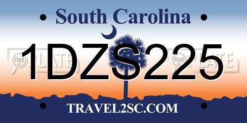1DZS225 South Carolina License Plate