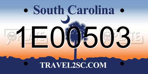 1E00503 South Carolina License Plate