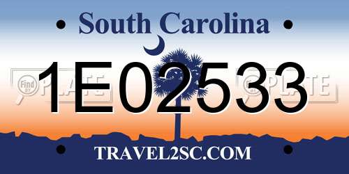 1E02533 South Carolina License Plate
