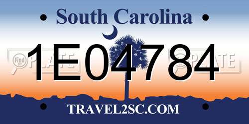 1E04784 South Carolina License Plate
