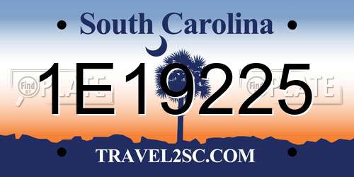 1E19225 South Carolina License Plate