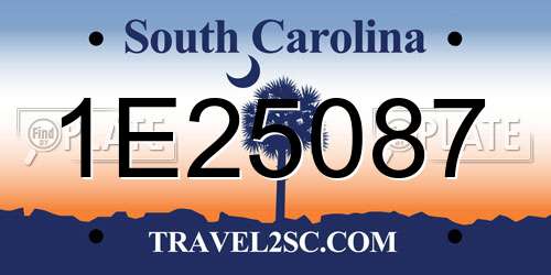1E25087 South Carolina License Plate