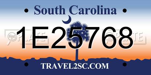 1E25768 South Carolina License Plate