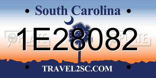 1E28082 South Carolina License Plate
