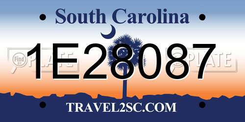 1E28087 South Carolina License Plate