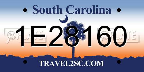 1E28160 South Carolina License Plate